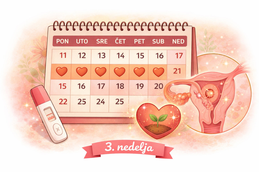 3. nedelja trudnoće