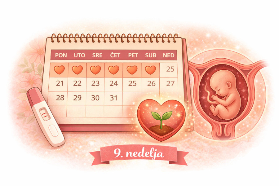 9. nedelja trudnoće