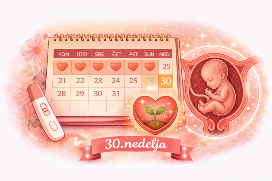 30. nedelja trudnoće