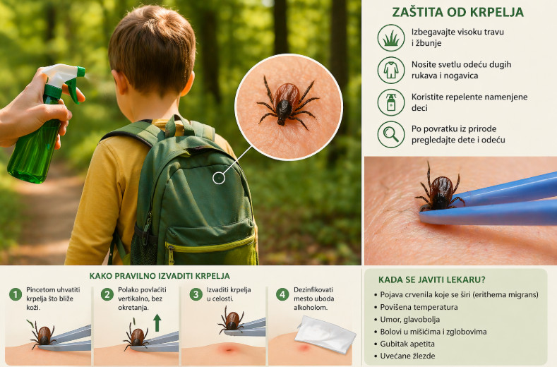 Ubod krpelja kod dece: Sve što roditelji moraju da znaju od zaštite do simptoma