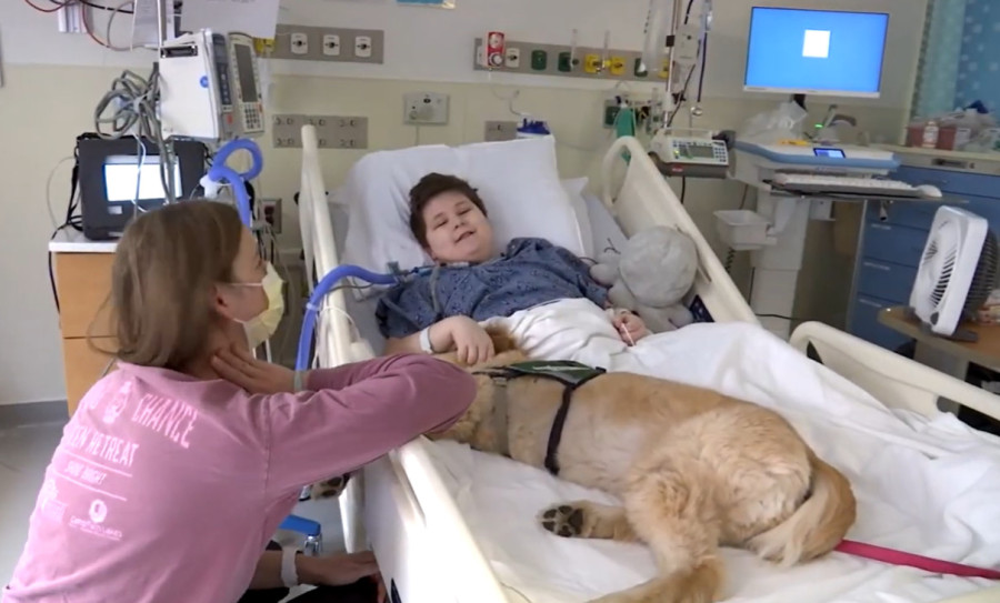 Dete u bolničkoj postelji, a pas dolazi i… ovaj snimak rasplakao je sve koji su ga videli (VIDEO)
