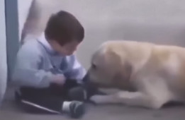 Dečak sa Daunovim sindromom nije voleo dodir – pas mu je promenio sve (VIDEO)